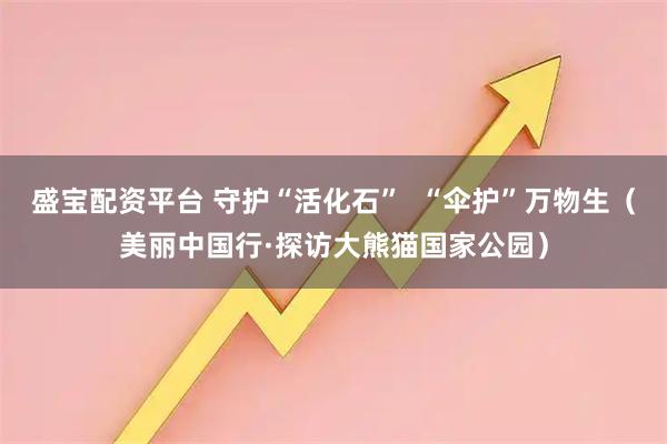盛宝配资平台 守护“活化石”  “伞护”万物生（美丽中国行·探访大熊猫国家公园）
